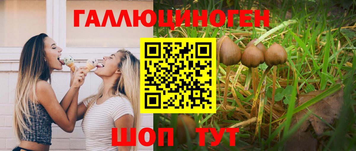 Вязники  Псилоцибиновые грибы прущие грибы  купить наркоту  Вход с VPN 